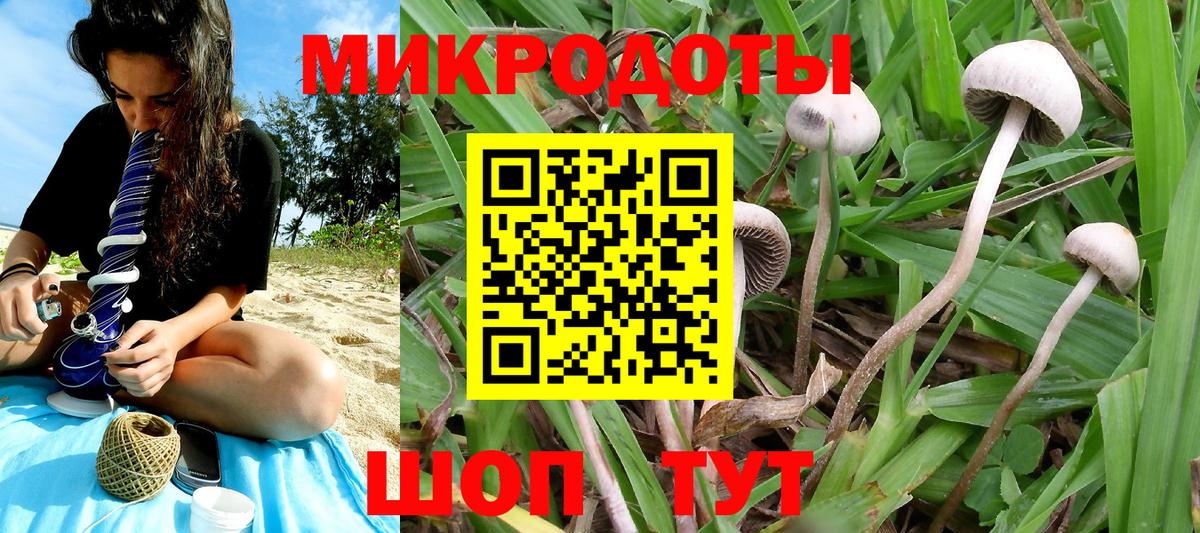 Галлюциногенные грибы прущие грибы  цены   Георгиевск  Вход с VPN 